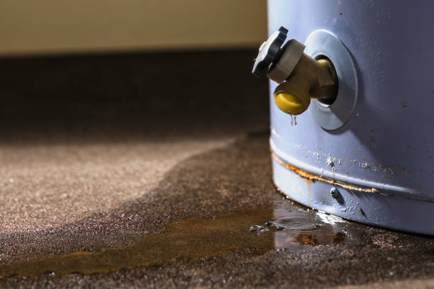 Best Professional water damage repair  in Walker Valley, NY