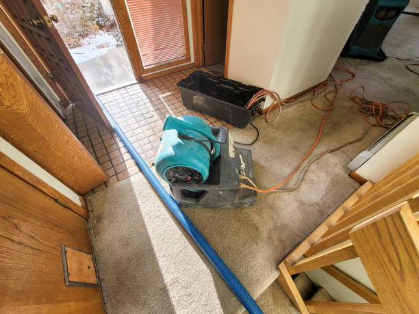 Reliable Walker Valley, NY Water damage restoration Solutions