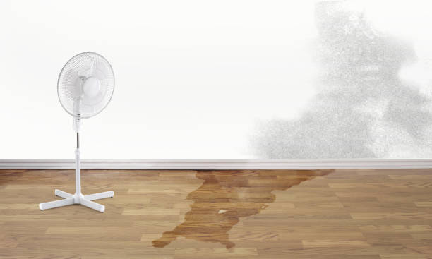 Best Fire Damage Restoration  in Walker Valley, NY