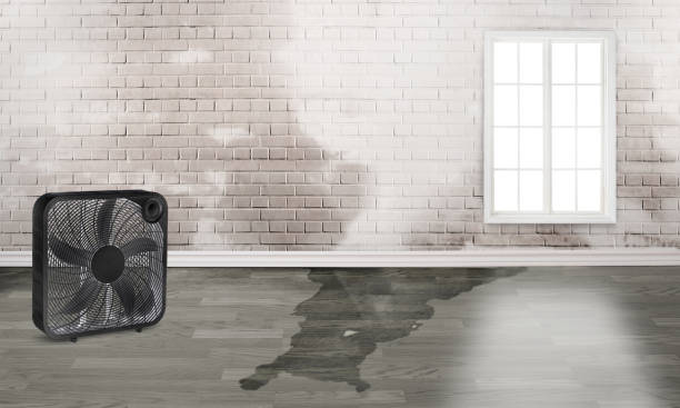 Best Emergency water damage restoration  in Walker Valley, NY