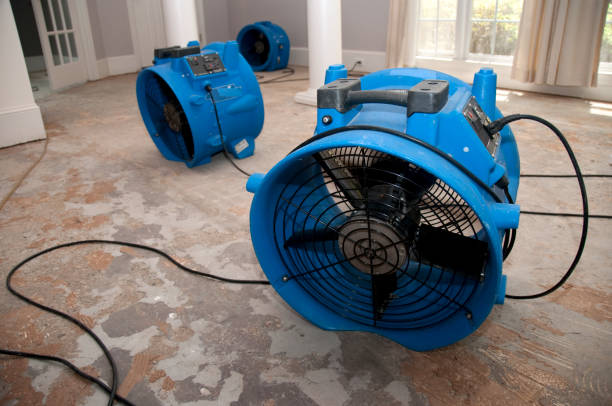 Best Water damage cleanup near me  in Walker Valley, NY
