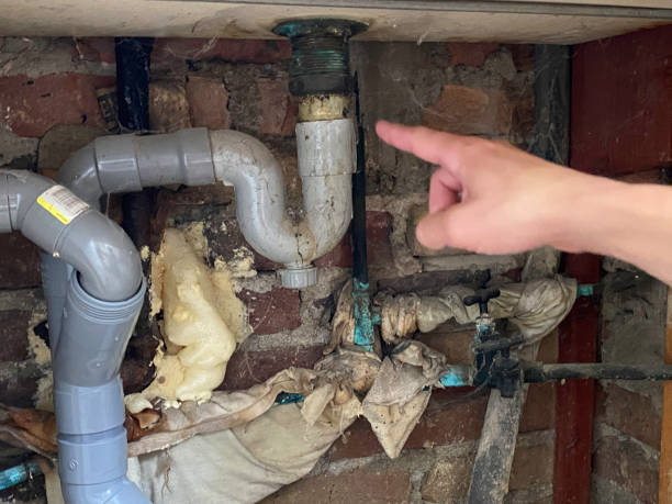 Best Flooded house restoration  in Walker Valley, NY