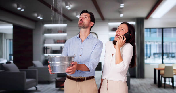 Best Professional water damage repair  in Walker Valley, NY